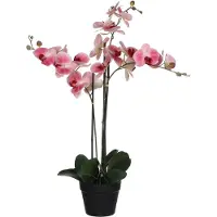 Mica Decorations Mica Kunstpflanze Phalaenopsis im Topf rosa, 75 x 51 x 79 cm GLO660754634