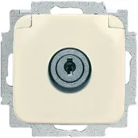 Busch-Jaeger 20 EUKSL-212-101 SCHUKO Steckdosen-Einsatz, mit Klappdeckel weiß