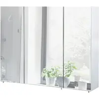 Schildmeyer Spiegelschrank Basic