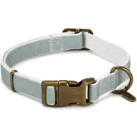 Designed By Lotte Virante Hundehalsband