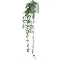 Hjh OFFICE Eucalyptus Climb
