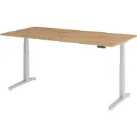 Froschkönig24 Höhenverstellbarer Schreibtisch XBHM | 2-Motoren | 120 x 200 cm | elektrisch, Größe Tischplatte:200 x 100 cm, Farbe Tischplatte:Asteiche, Farbe Gestell:Silber