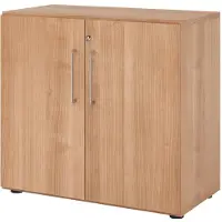Hammerbacher Flügeltürenschrank V9