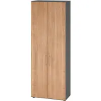 Hammerbacher Flügeltürenschrank V9