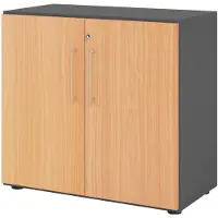 Hammerbacher Flügeltürenschrank V9