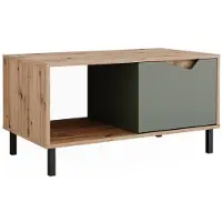 Vicco Couchtisch Marelle Grün/Artisan 90 x 50 cm mit 1 Tür, Model 57860