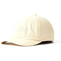 Dickies Duck Canvas Dad Kappe