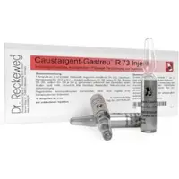 Dr. Reckeweg CAUSTARGENT Gastreu R 73 Injekt Ampullen 10X2 ml Ampullen