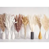 Sonstiges Getrocknetes Pampasgras-Bouquet 128 PCS für Hochzeiten und Partys