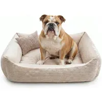 4L Textil MOLLY Kuscheliges Cord Hundebett große Hunde Hundekorb Cord Hundekissen flauschig Hundekörbchen Cord (120x100 cm, Beige)