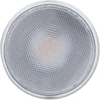 Paulmann LED-Leuchtmittel "PAR38 1000lm 13,8W glas 230V", Energieeffizienz: F, silber (silberfarben), L:13,4cm Ø:12,2cm, Leuchtmittel, LED-Leuchtmittel