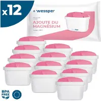 Wessper AquaMax MG+ Wasserfilter 12 Stück – Magnesium Filter kompatibel mit Brita, Dafi, Philips, Aquafloow