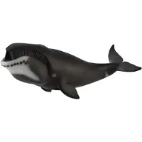Collecta Grönlandwalfigur Schwarz 3-6 Years Schwarz 3-6 Years