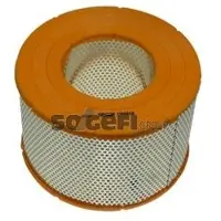 FRAM Luftfilter CA4818