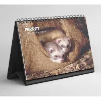 Famanu Tischkalender 2026-2027 Ferretjes - Mondriaan Design