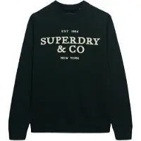 Superdry für Herren. M6110788A Jersey Applique grün (S), Lässig, Baumwolle