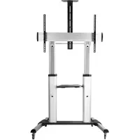 Techly ICA-TR24, Silber, Silber, 1 Regale, Schwarz, 100 kg, 2,54 m (100")