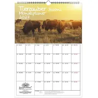 Seelenzauber GmbH Tierzauber Bisons Planer DIN A3 Kalender für 2027 Amerika - Geschenkset Inhalt: 1x Kalender 1x Weihnachtsanhänger 1x Grußanhänger (gesamt 3 Teile)