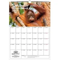 Seelenzauber GmbH Tierkinder Affen Planer DIN A3 Kalender für 2027 - Geschenkset Inhalt: 1x Kalender 1x Weihnachtsanhänger 1x Grußanhänger (gesamt 3 Teile)