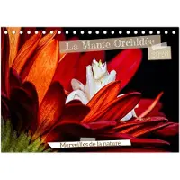 Sonstige Verlage La Mante Orchidée (Calendrier de bureau 2026 DIN A5 vertical), CALVENDO calendrier mensuel
