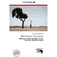 Sonstige Verlage Melaleuca Uncinata Pflanze, mehrstämmiger, immergrüner Strauch, bis zu 5 Meter hoch