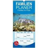 Sonstige Verlage Familienplaner 2027 - Forellen im Fluss mit 5 Spalten (Wandkalender, 21 x 45 cm) CALVENDO