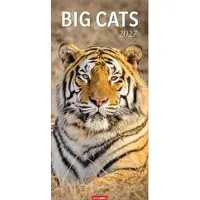 Sonstige Verlage Jahres-Wandkalender 2027: Wildkatzen im Porträt – Vom Gepard bis zum Königs-Tiger 33 x 68 cm