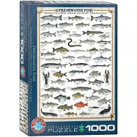 Sonstige Verlage Freshwater Fish