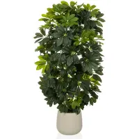 Hjh OFFICE Schefflera 2