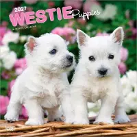 BrownTrout West Highland White Terrier Welpen Kalender 2027