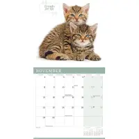 CAROUSEL CALENDARS Niedliche Katzen Kalender 2027