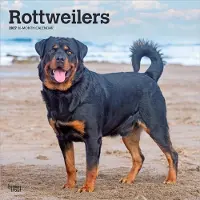BrownTrout Rottweiler Kalender 2027