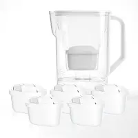 Wessper Wasserfilter Kanne für Kühlschranktür 2,7L set mit 6 filter - Weiß
