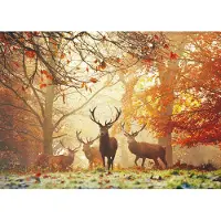 Heye Puzzle Stags, 1000 Stück(e), Tiere