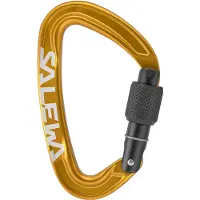 Salewa - Ortles Screw Carabiner - Schraubkarabiner gelb