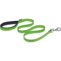 Ferplast Daytona 20 Mm 120 Cm Leash Grün