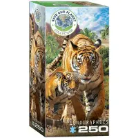 Eurographics Puzzle Rettet unseren Planeten: Tigers XL 250 Stück
