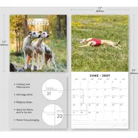 Red Robin Whippet Kalender 2027
