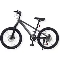 Buxibo - Austin-Fahrrad - Kinder-Mountainbike - Stahlrahmen - 20 Zoll - Grau