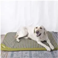 Sonstiges Hundematte Orthopädisches Hundebett Memoryschaum Waschbar Grün XL 72x53x4cm