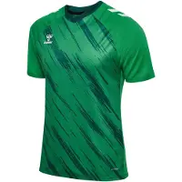 Hummel Match Triumph Kurzarm-t-shirt Grün L Grün L