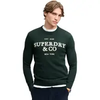 Superdry für Herren. M6110788A Jersey Applique grün (XL), Lässig, Baumwolle