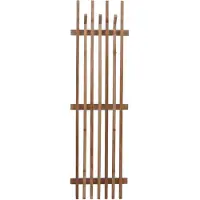 MCW P57-Ga1
