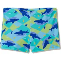 Speedo Print Aqua Badeshorts