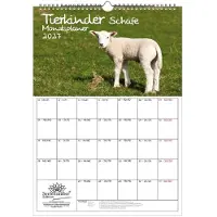 Seelenzauber GmbH Tierkinder Schafe Planer DIN A3 Kalender für 2027 Schafe und Lämmchen - Set-Inhalt: 1x Kalender 1x Weihnachtsanhänger 1x Grußanhänger (gesamt 3 Teile)