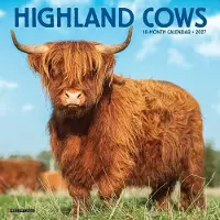 Sonstige Verlage Highland Cows 2027 7 X 7 Mini Wall Calendar