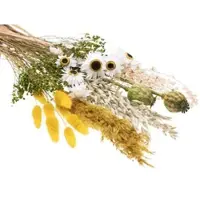 Buttinette Trockenblumen-Sortiment, gelb, grün