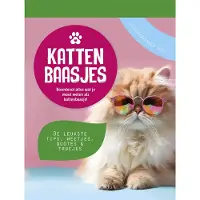 De Lantaarn Publishers Abreißkalender für Katzenbesitzer 2027