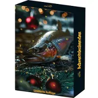 Salmo Adventskalender 2026 für Angler – limitierte Auflage mit Montagen und Ködern
