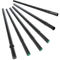 Blokart Mast Full Glass Mast 5.5m BSC0303 Schwarz